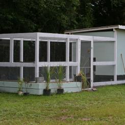 Chicken Coop Confessions