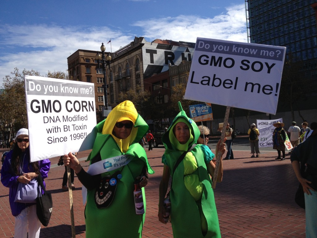 protestors