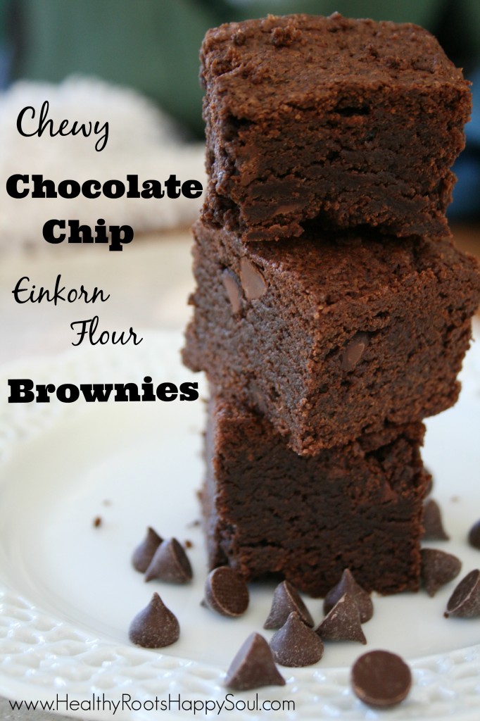 chewy chocolate chip einkorn brownies