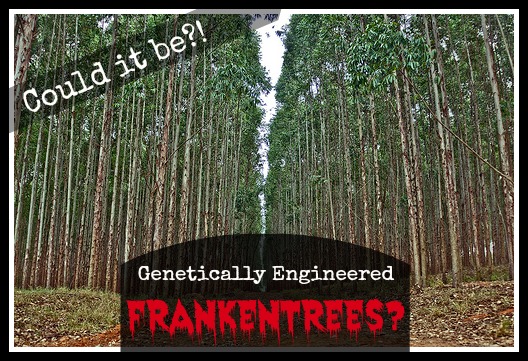 Could it be? Genetically Engineered FrankenTrees?