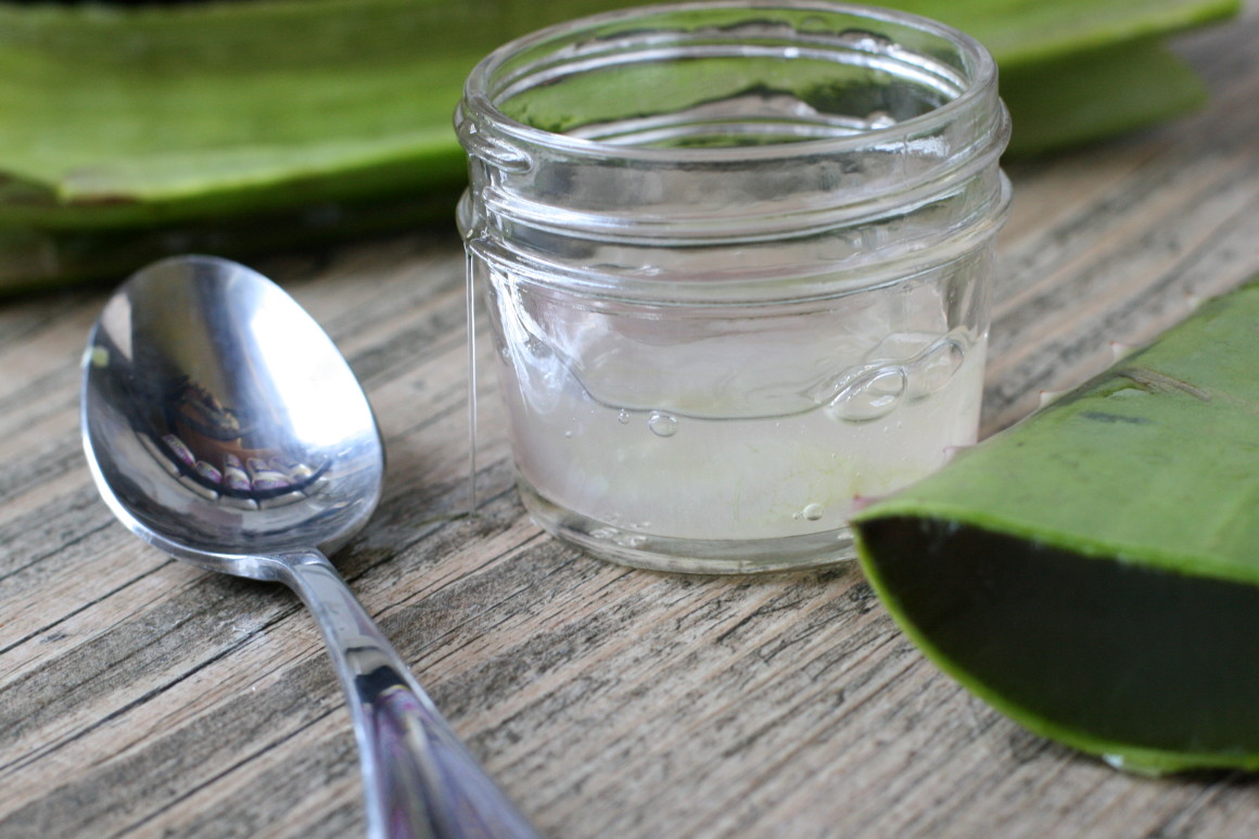How to Harvest Fresh Aloe + Make Aloe Juice (Video)