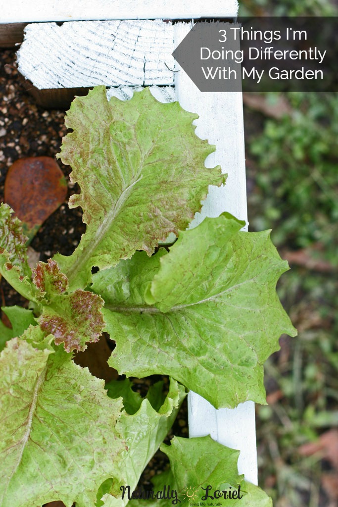 3 Things I’m Doing Differently With My Garden