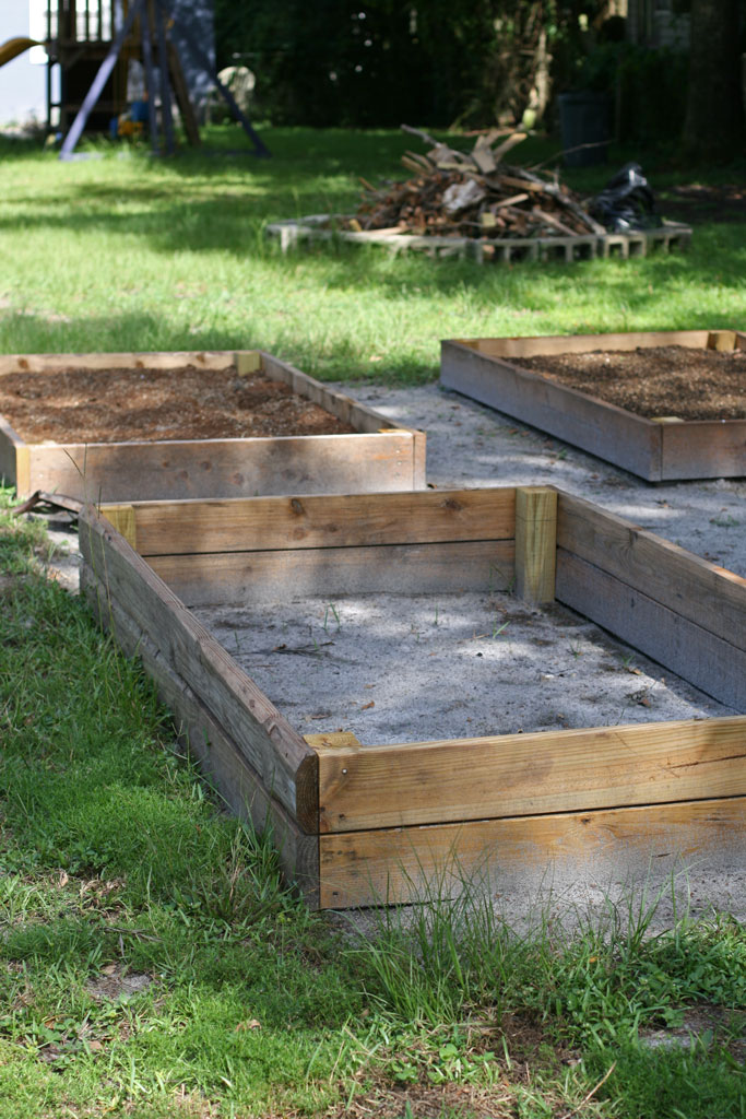 3 things I'm doing differently with my garden this year in hopes I'll have a better harvest.