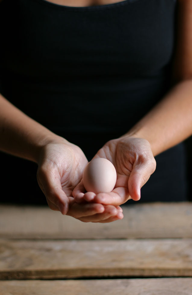 The Emotional Roller Coaster Ride of Your First Egg