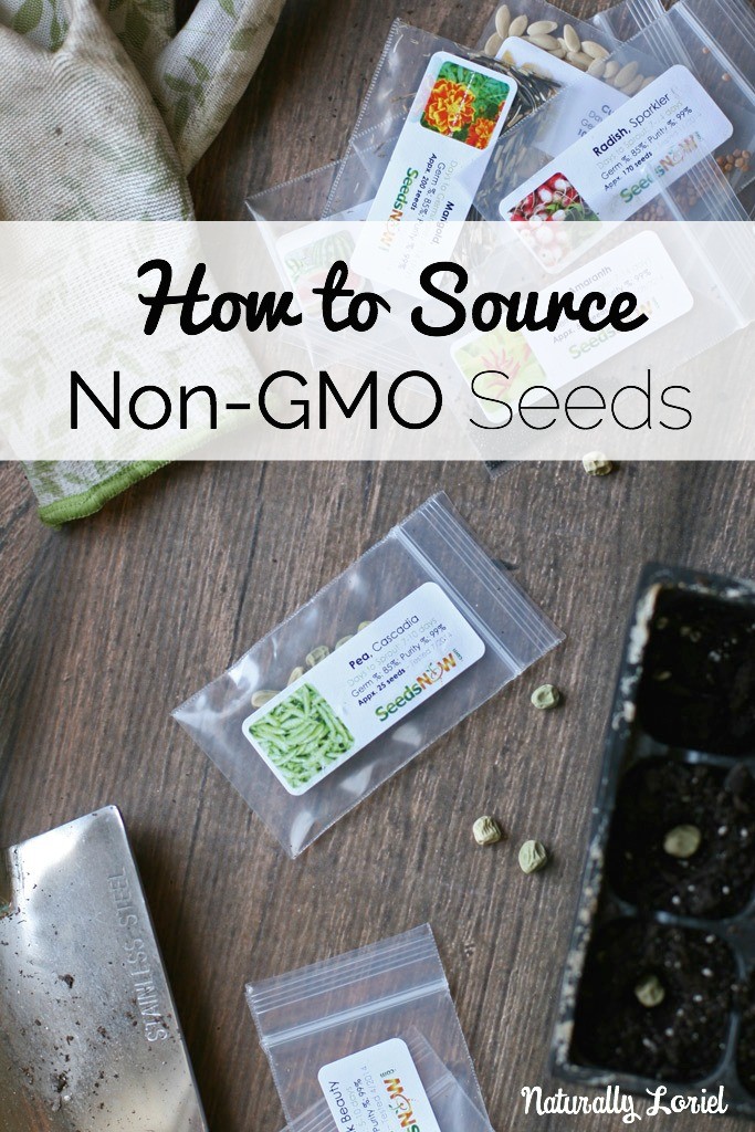 Looking for a good seed company to support that has no affiliation with Monsanto & cares about seed preservation? Find out how to source non-GMO seeds here