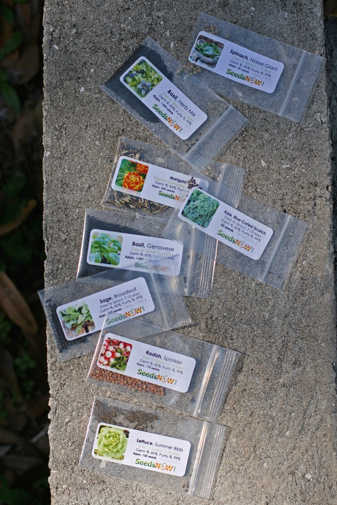Looking for a good seed company to support that has no affiliation with Monsanto & cares about seed preservation? Find out how to source non-GMO seeds here