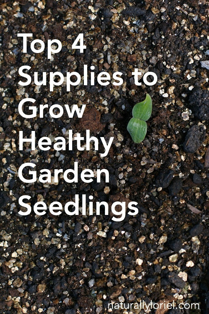 Tired of failing at growing plants from seeds? Here are 4 top supplies to grow healthy garden seedlings to help your chances drastically!