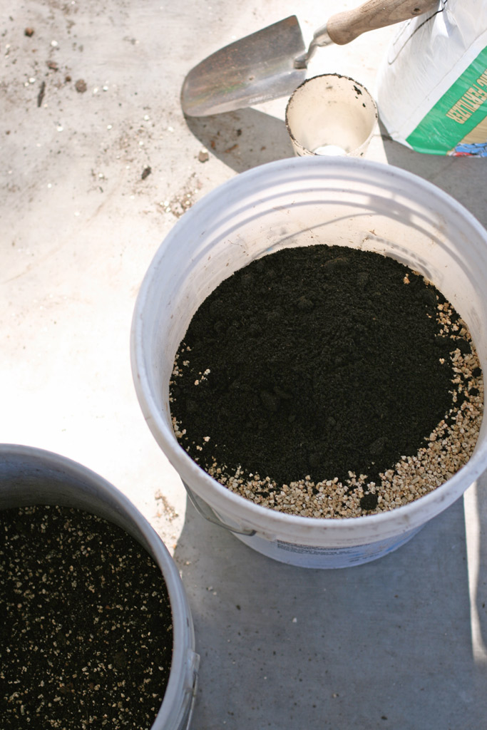 I love the idea of vertical gardening so I turned my extended pallet chicken run into a DIY pallet top garden to make the most of my space. Learn more here!