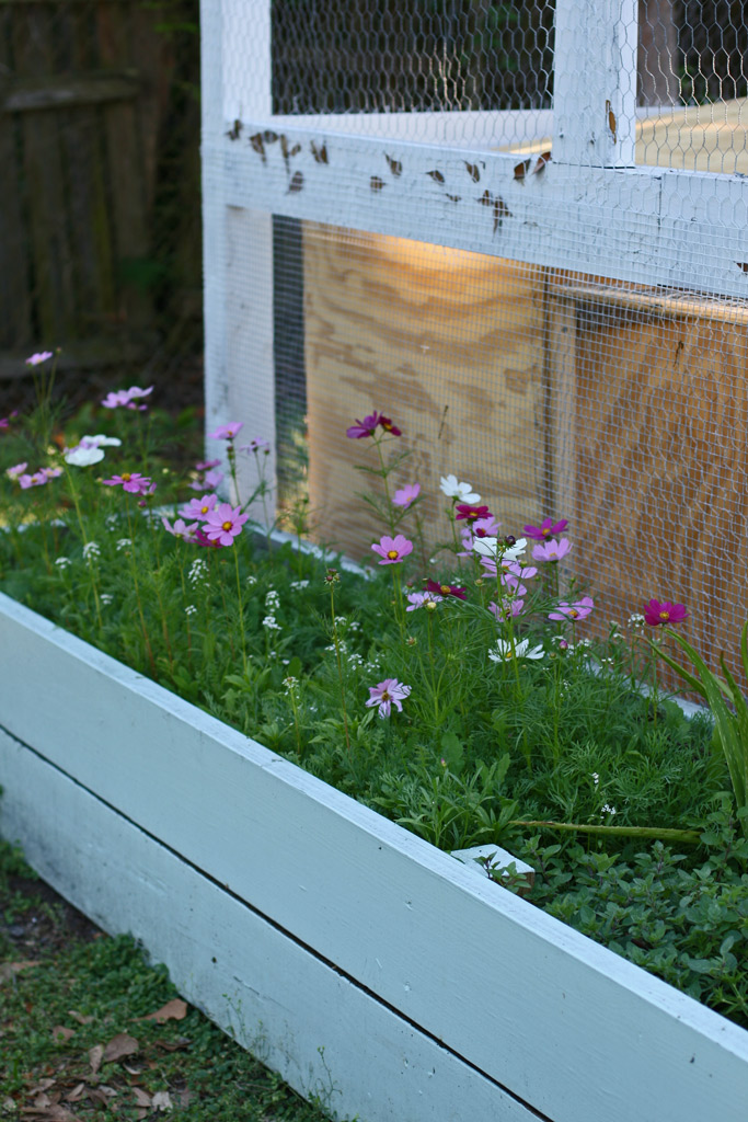 The Easy No-Research Approach to Creating a Pollinator-Friendly Garden