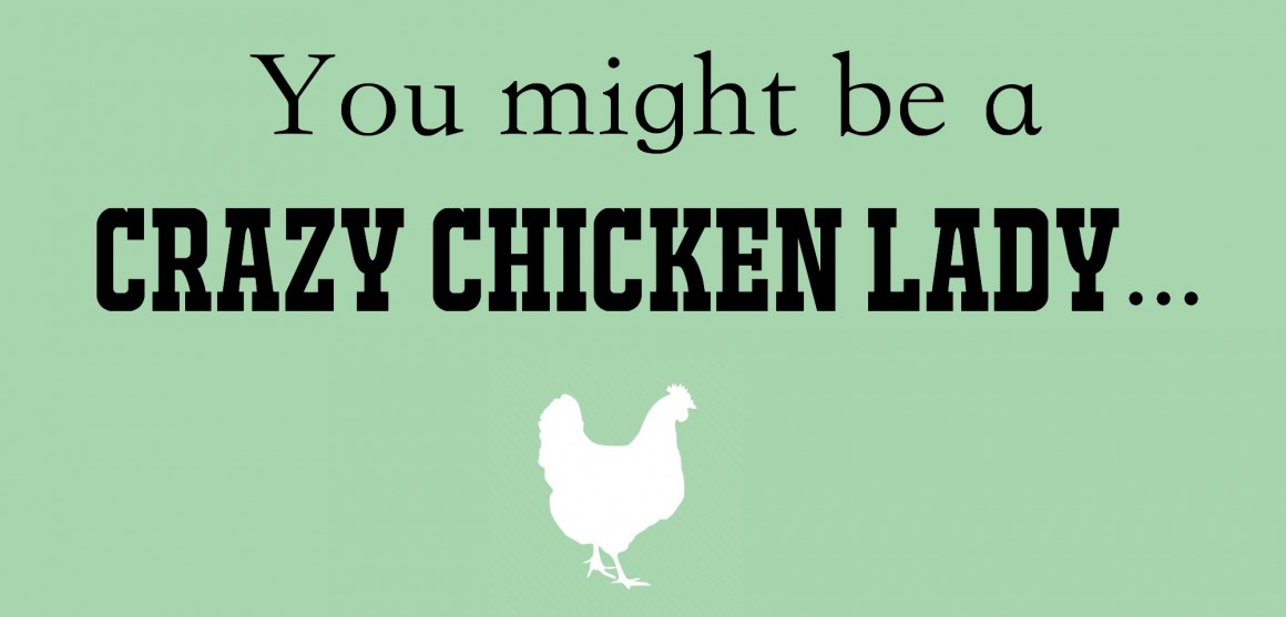 You Might Be a Crazy Chicken Lady If…