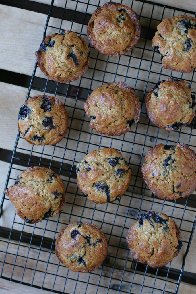Buttermilk Blueberry Einkorn Muffins