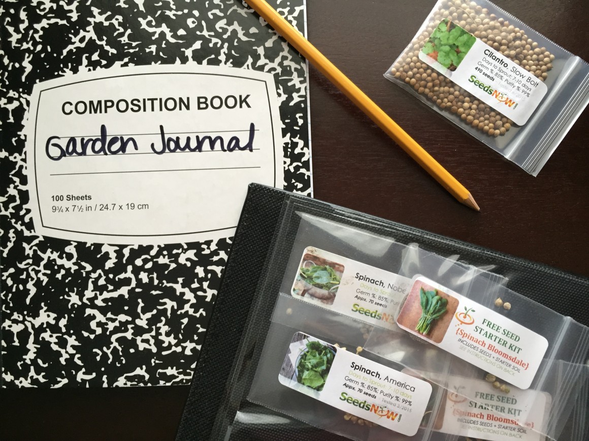 Why I Use SeedsNow Seeds for My Garden