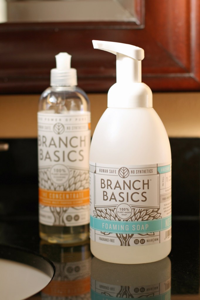 Making non-toxic germ-fighting foam hand soap is one of the easiest things I've ever done in my journey to a more natural lifestyle. Here are 2 easy recipes!