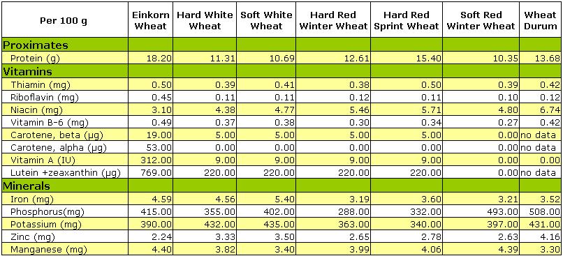 protein: einkorn versus other wheat