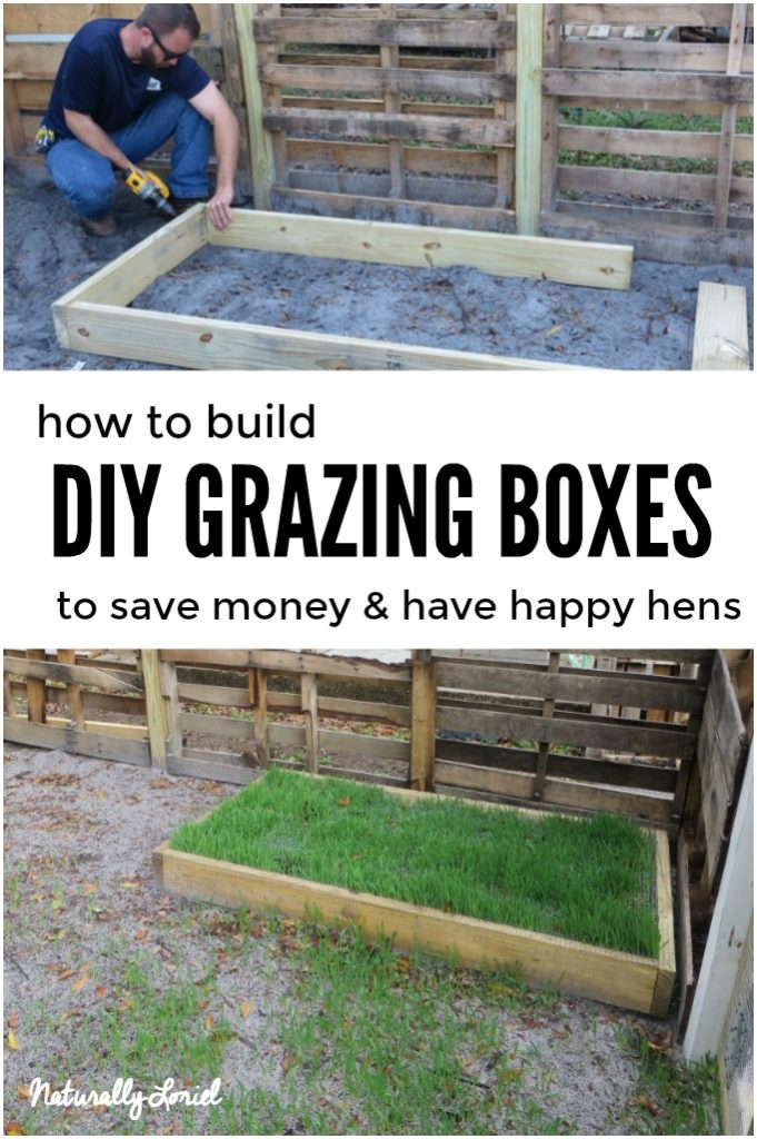 DIY grazing boxes save you money