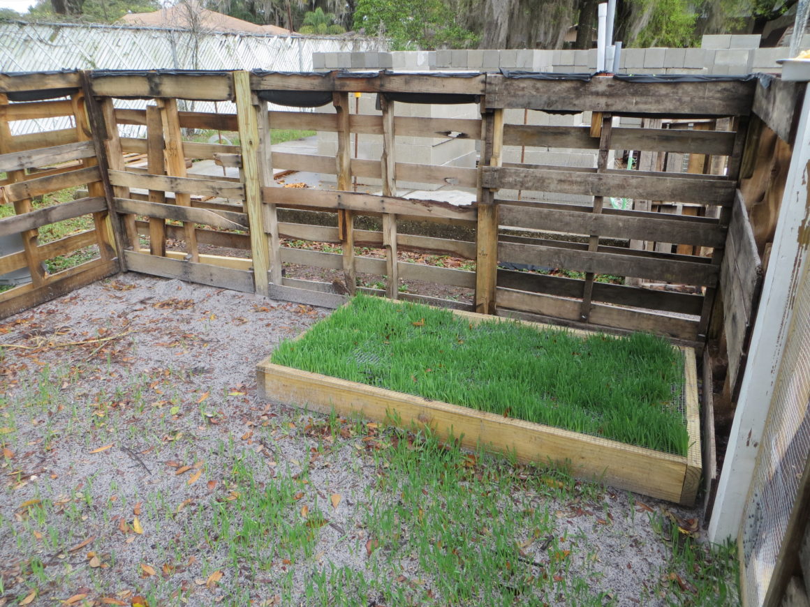 DIY Grazing Boxes